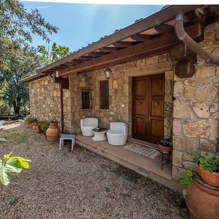 Villa Locazione Turistica Fonte al Tesoro Roccatederighi Esterno foto