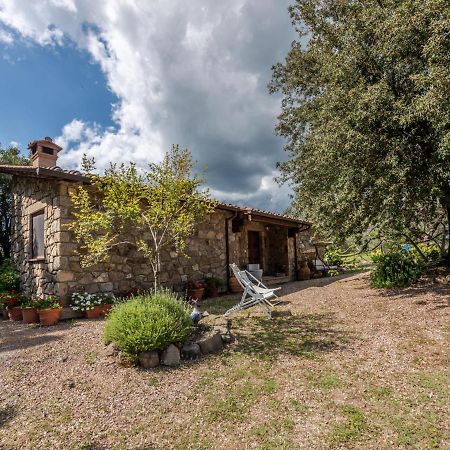 Villa Locazione Turistica Fonte al Tesoro Roccatederighi Esterno foto