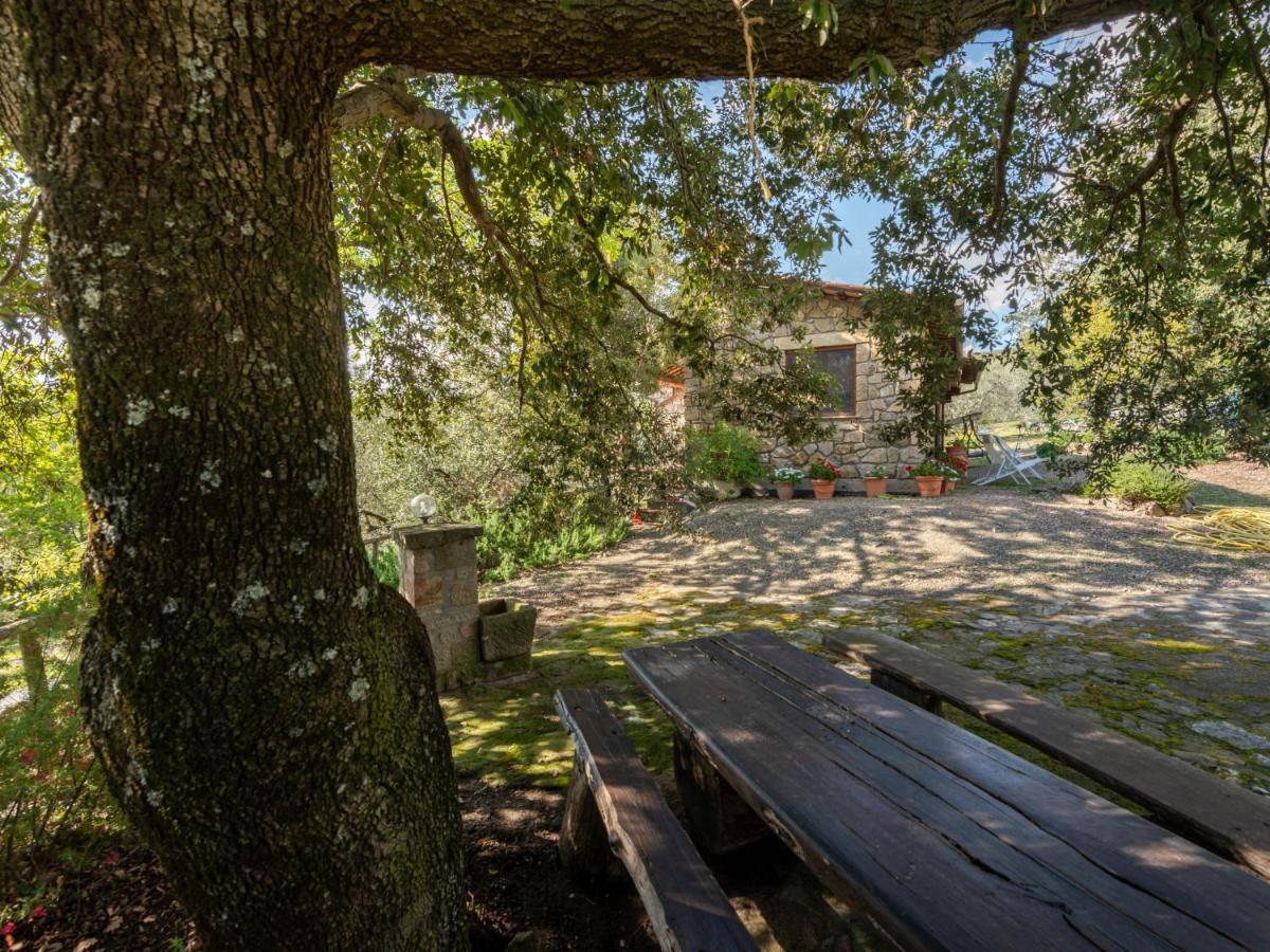 Villa Locazione Turistica Fonte al Tesoro Roccatederighi Esterno foto