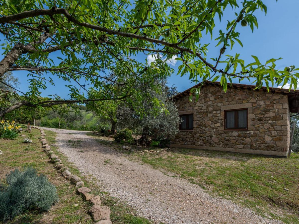 Villa Locazione Turistica Fonte al Tesoro Roccatederighi Esterno foto
