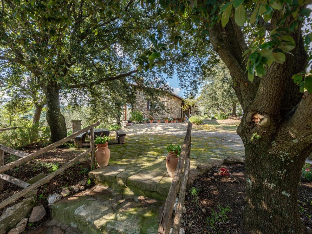 Villa Locazione Turistica Fonte al Tesoro Roccatederighi Esterno foto